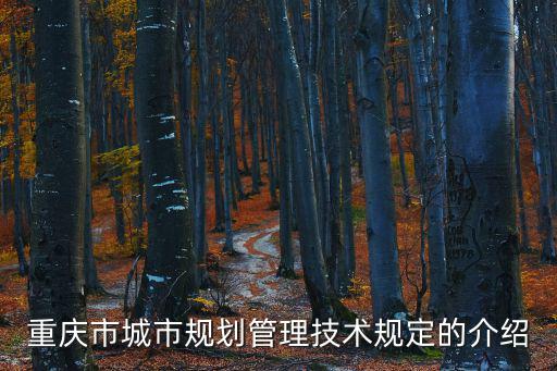 重慶市城市規劃管理技術規定的介紹