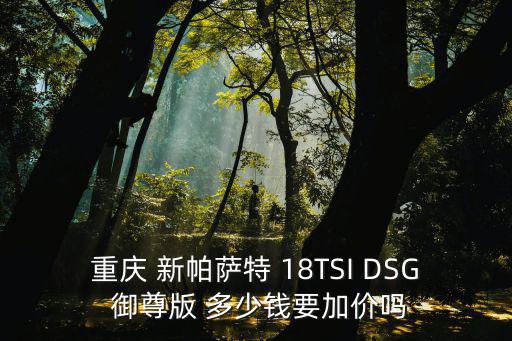 重慶 新帕薩特 18TSI DSG 御尊版 多少錢要加價嗎
