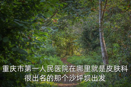 重慶市第一人民醫院在哪里就是皮膚科很出名的那個沙坪壩出發