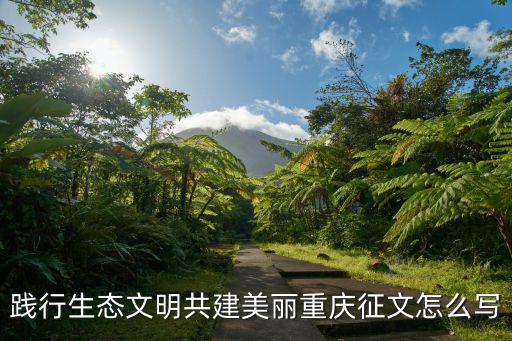 踐行生態(tài)文明共建美麗重慶征文怎么寫
