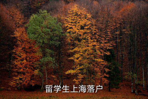 留學生上海落戶