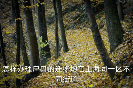 怎樣辦理戶口的遷移均在上海同一區不同街道