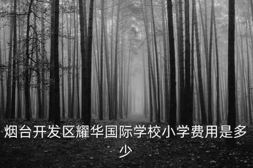 煙臺開發區耀華國際學校小學費用是多少