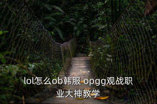 lol怎么ob韓服 opgg觀戰(zhàn)職業(yè)大神教學