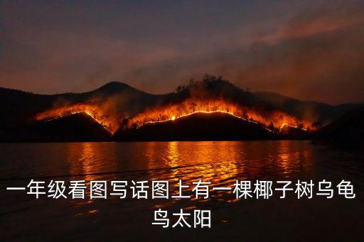 一年級看圖寫話圖上有一棵椰子樹烏龜鳥太陽
