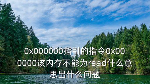 0x0000，請問C51程序中0x0000和0x00的區別和具體含義