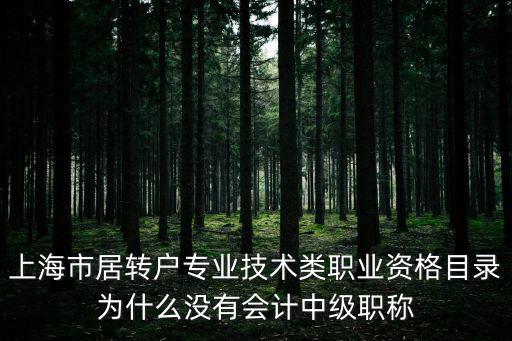 上海市居轉戶專業技術類職業資格目錄為什么沒有會計中級職稱