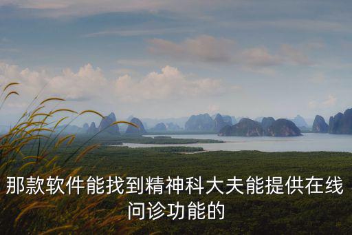 那款軟件能找到精神科大夫能提供在線問診功能的
