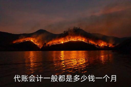代理記賬收費標準，代理做賬報稅怎么收費