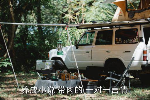 養成小說 帶肉的 一對一言情