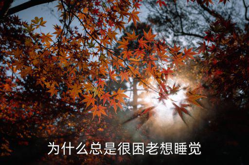 為什么總是很困老想睡覺