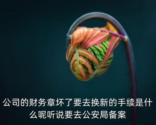 重慶市內控財務印章更換流程，請問變更公章和財務章程序怎么走都需要那些材料