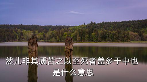 然兒非其質苦之以至死者蓋多于中也 是什么意思