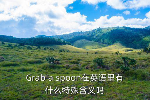 Grab a spoon在英語里有什么特殊含義嗎