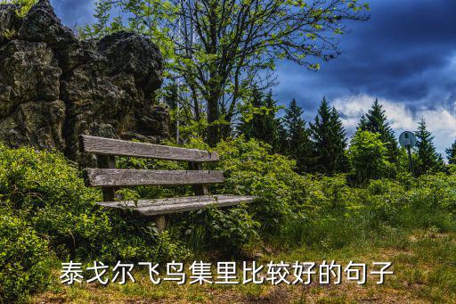 泰戈?duì)栵w鳥集里比較好的句子