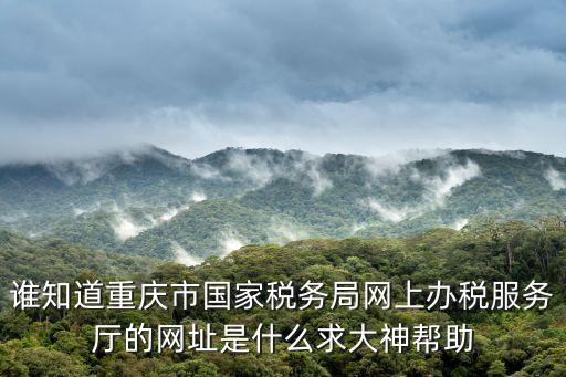 重慶市經開區國家稅務局官網，重慶市國稅網網址是多少