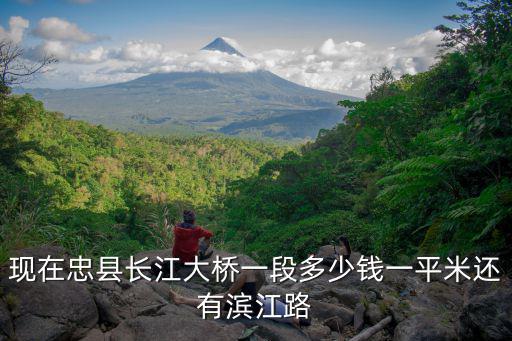 現(xiàn)在忠縣長(zhǎng)江大橋一段多少錢(qián)一平米還有濱江路