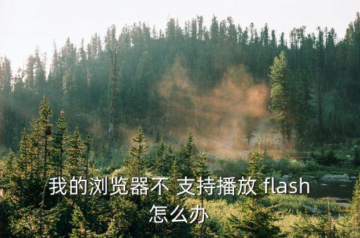 我的瀏覽器不 支持播放 flash怎么辦