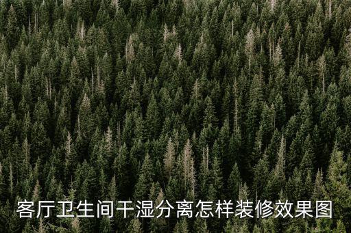 客廳衛(wèi)生間干濕分離怎樣裝修效果圖