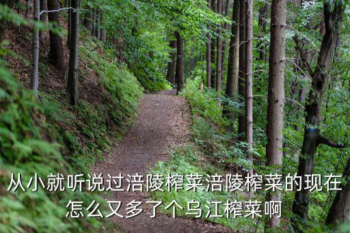 從小就聽說過涪陵榨菜涪陵榨菜的現在怎么又多了個烏江榨菜啊