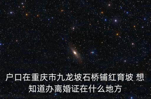戶口在重慶市九龍坡石橋鋪紅育坡 想知道辦離婚證在什么地方