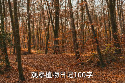 植物的觀察日記，觀察植物日記100字