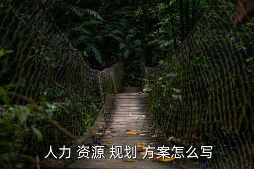  人力 資源 規(guī)劃 方案怎么寫