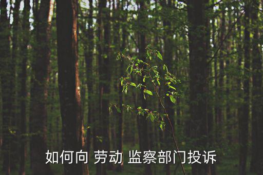 勞動(dòng)監(jiān)察部門,如何投訴到勞動(dòng)監(jiān)察部門?