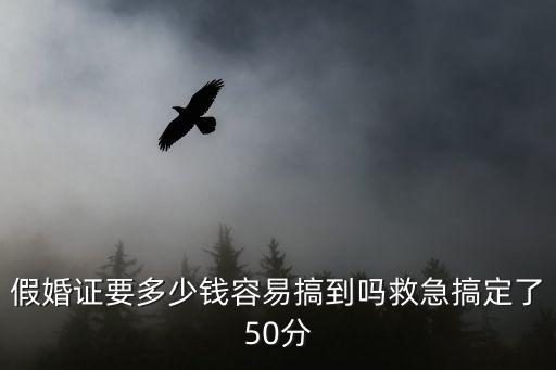 假婚證要多少錢容易搞到嗎救急搞定了50分