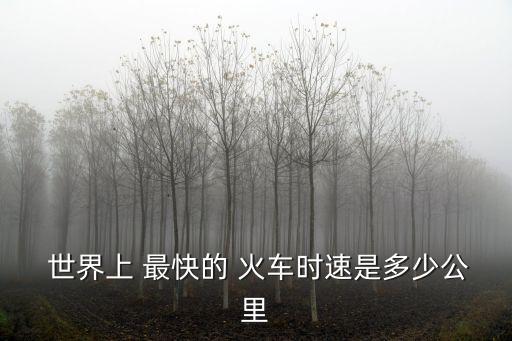  世界上 最快的 火車(chē)時(shí)速是多少公里