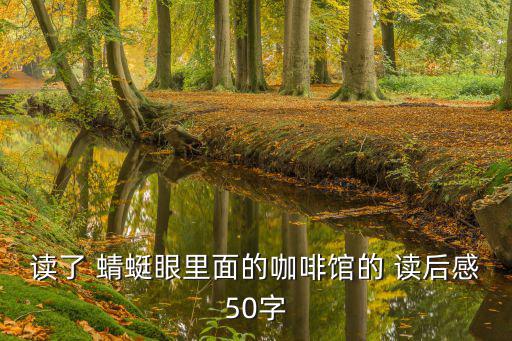 讀了 蜻蜓眼里面的咖啡館的 讀后感50字