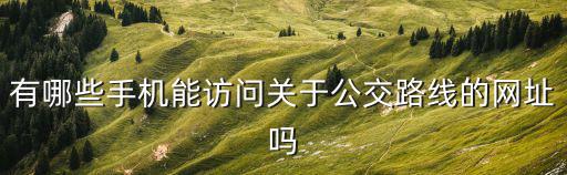 有哪些手機能訪問關于公交路線的網址嗎
