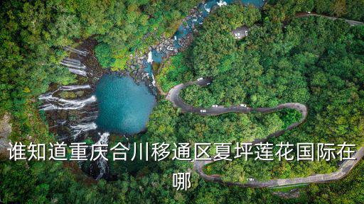 誰知道重慶合川移通區夏坪蓮花國際在哪