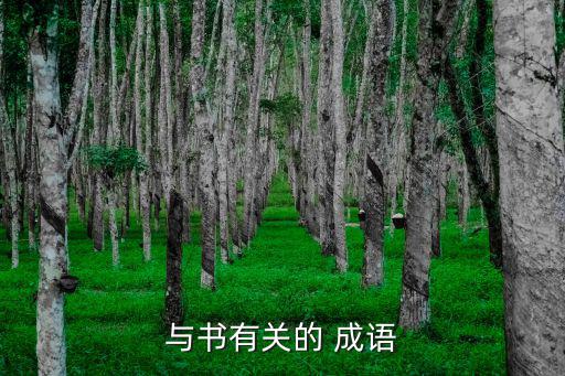 與書有關的 成語