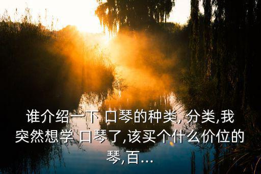 誰介紹一下 口琴的種類, 分類,我突然想學(xué) 口琴了,該買個什么價位的琴,百...
