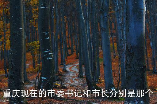 重慶現在的市委書記和市長分別是那個