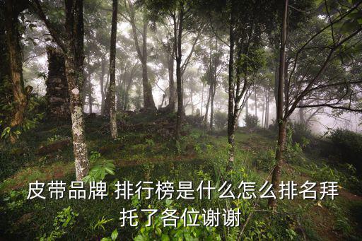  皮帶品牌 排行榜是什么怎么排名拜托了各位謝謝