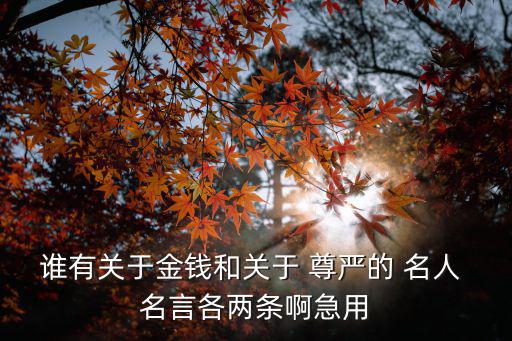 誰(shuí)有關(guān)于金錢和關(guān)于 尊嚴(yán)的 名人 名言各兩條啊急用