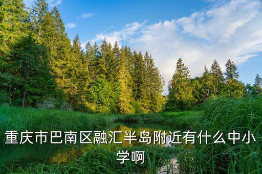 重慶市巴南區融匯半島附近有什么中小學啊