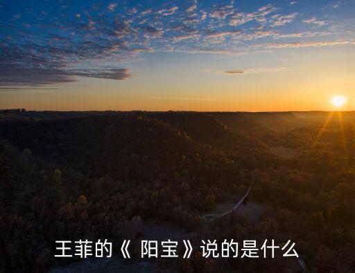 陽寶,我國(guó)南屏山有幸存者嗎?