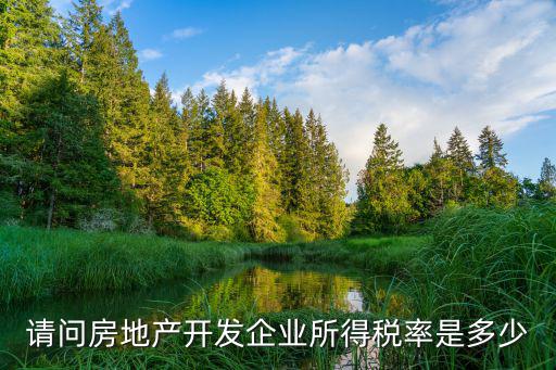 請問房地產開發企業所得稅率是多少