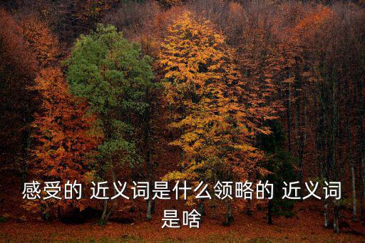 感受的 近義詞是什么領略的 近義詞是啥