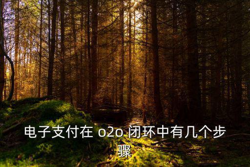 電子支付在 o2o 閉環(huán)中有幾個(gè)步驟