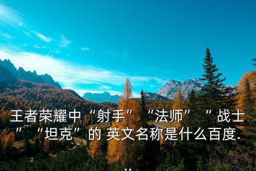 王者榮耀中“射手”“法師”“ 戰(zhàn)士”“坦克”的 英文名稱是什么百度...