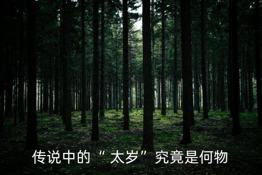 犯太歲是什么東西,太歲又名太歲邢俊民間神靈也是明星