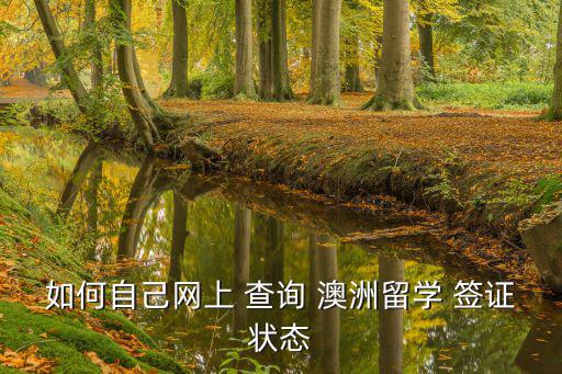 如何自己網上 查詢 澳洲留學 簽證狀態