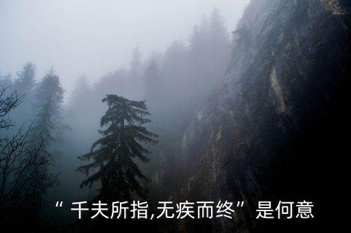 千夫所指,千夫所指，無病而死出自《漢書·國家傳》