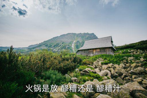 火鍋是放 醪糟還是 醪糟汁