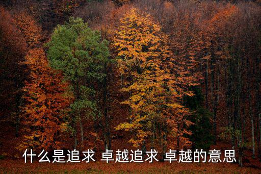什么是追求 卓越追求 卓越的意思