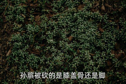 孫子臏腳,孫臏砍斷腳完成兵法《孫子兵法》一書
